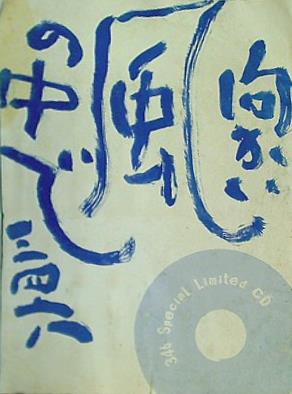 向かい風の中で 三四六 Special Limited CD