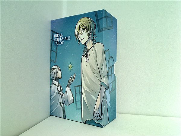 本 IDEAL SOULMALE TAROT アイデアル ソウルメイル タロット 本 IDEAL SOULMALE TAROT アイデアル ソウルメイル タロット