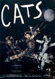 パンフレット CATS