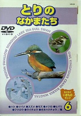 わくわくいきものランド 6 とりのなかまたち