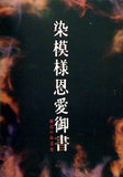 花形歌舞伎　染模樣恩愛御書 細川の血達磨 2010 日生劇場