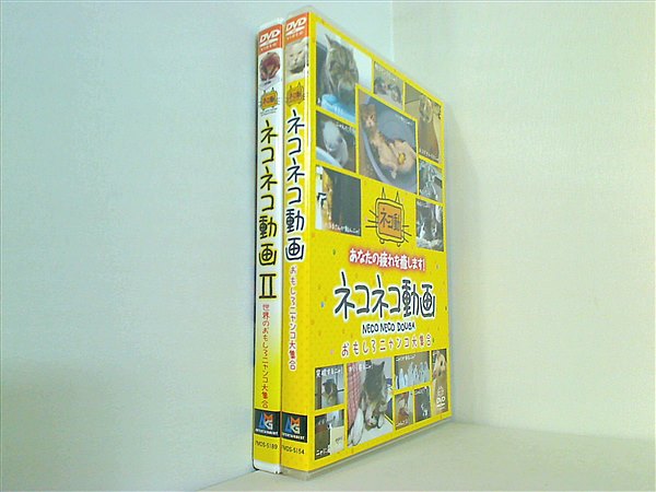 ネコネコ動画 おもしろニャンコ大集合