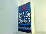 AEROSMITH BIG ONES you can look at