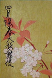 四月陽春大歌舞伎 明治座 1979年 4月