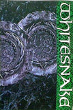 WHITESNAKE ホワイトスネイク 日本公演 1988