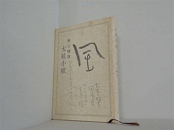 本 大絃小絃 野口 晴哉 – AOBADO オンラインストア