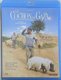 ガザを飛ぶブタ Le Cochon de Gaza