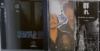 チャゲ＆飛鳥 DUET ANGLE 群れ