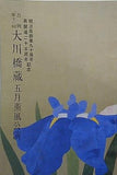 吉例第十三回 大川橋蔵 五月薫風公演 明治座 創業90周年・再開場25周年記念 明治座