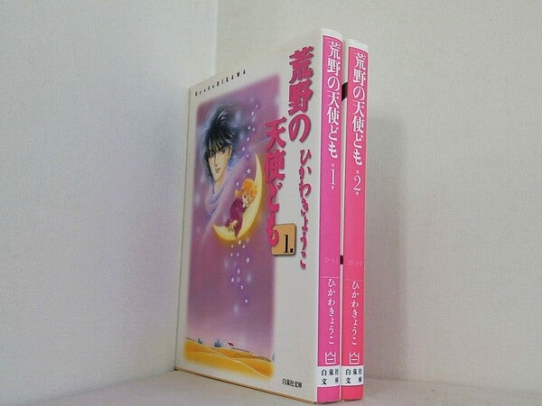 荒野の天使ども 白泉社文庫 ひかわ きょうこ １巻-２巻。