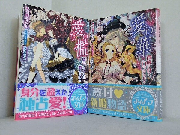 愛の檻　騎士に淫らに触れられて　などのセット ティアラ文庫 永谷圓さくら　坂本あきら １巻-２巻。帯付属。