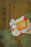 二月 尾上染五郎劇団 大歌舞伎 1969年 2月