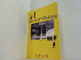 スケッチ・オブ・Peking 民警故事