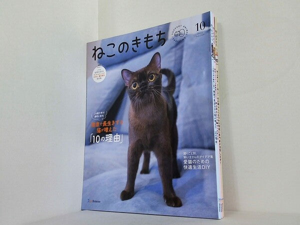 ねこのきもち 2022年号 １０月号-１２月号。１１月号のみ付録欠品。