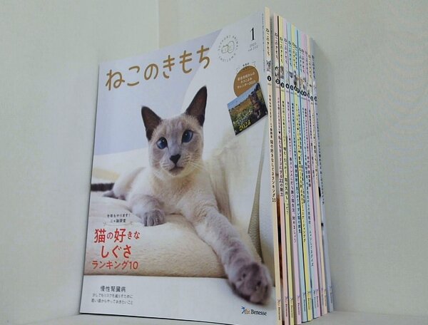 ねこのきもち 2023年号 １月号-１２月号。１月号・３月号・６月号・７月号・９月号・１１月号のみ付録欠品。