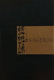 蜉蝣峠 KAGEROU TOUGE いのうえ歌舞伎 壊 Punk 2009