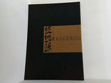 蜉蝣峠 KAGEROU TOUGE いのうえ歌舞伎 壊 Punk 2009