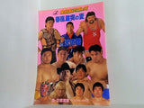 全日本プロレス 春嵐激突の変 '96 3.2 武道館