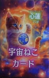 宇宙ねこカード Space Cat Cards アニマルヒーラー心蓮
