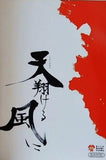 ミュージカル 天翔ける風 2009