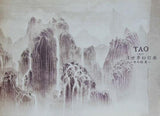 TAO 2011 浮世夢幻打楽 参の絵巻