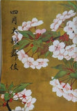 四月大歌舞伎 歌舞伎座 1956年