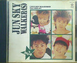 ひとつ抱きしめて ジュンスカイウォーカーズ