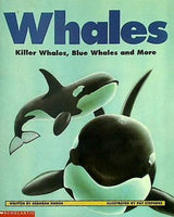 Whales Killer Whales  Blue Whales and More
