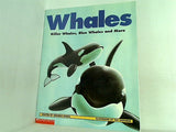 Whales Killer Whales  Blue Whales and More