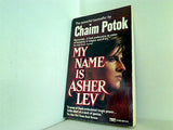 My Name Is Asher Lev