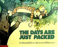 Days Are Just Packed Calvin and Hobbes