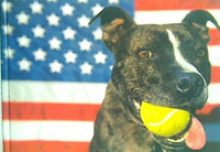 Dog Bless America: Tails from the Road