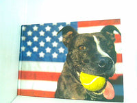 Dog Bless America: Tails from the Road