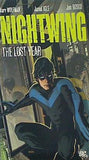 Nightwing: The Lost Year