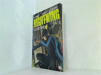 Nightwing: The Lost Year