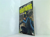 Nightwing: The Lost Year