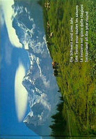 schweiz suisse svizzera switzerland hock treichler