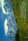 schweiz suisse svizzera switzerland hock treichler