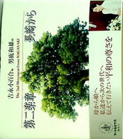 画文集 第二楽章 長崎から  アートルピナス