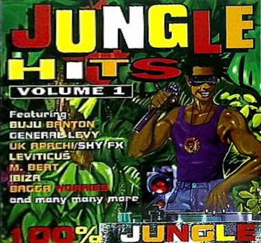 Jungle Hits Vol.1 Differences