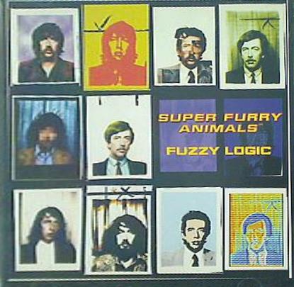 ファジー・ロジック スーパー・ファーリー・アニマルズ