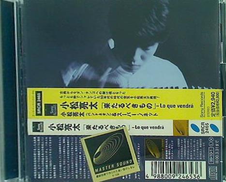 「来たるべきもの」-Lo Que Vendra 平吉毅洲
