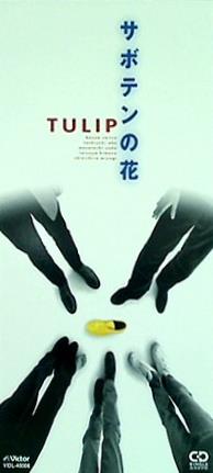 サボテンの花 チューリップ