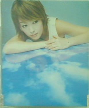 藍より青し 永遠の花 名も知れぬ花 石田燿子/the indigo