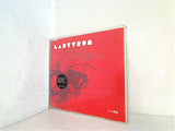 Destroy Everything You Touch Pt.1 Ladytron