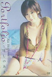 ほしのあき Portfolio  DVD ほしのあき