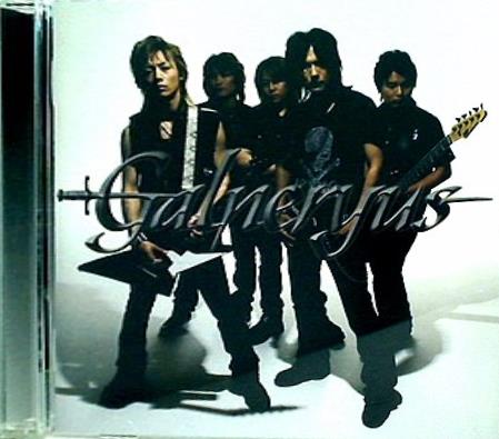 Beyond the end to despair... Galneryus