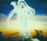 Angel Feather Voice Hitomi(黒石ひとみ)