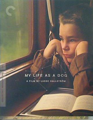 マイライフ・アズ・ア・ドッグ My Life as a Dog The Criterion