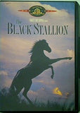 ワイルド・ブラック 少年の黒い馬 The Black Stallion Kelly Reno  Mickey Rooney  Teri Garr  Clarence Muse  Hoyt Axton  Michael Higgins  Ed McNamara  Doghmi Larbi  John Burton  John Buchanan 